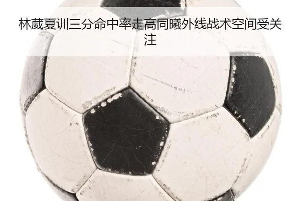 林葳夏训三分命中率走高同曦外线战术空间受关注