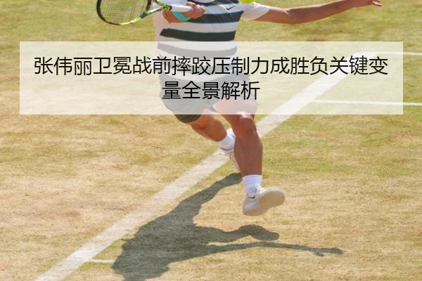 张伟丽卫冕战前摔跤压制力成胜负关键变量全景解析
